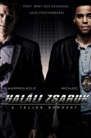 Common Law: Season 1